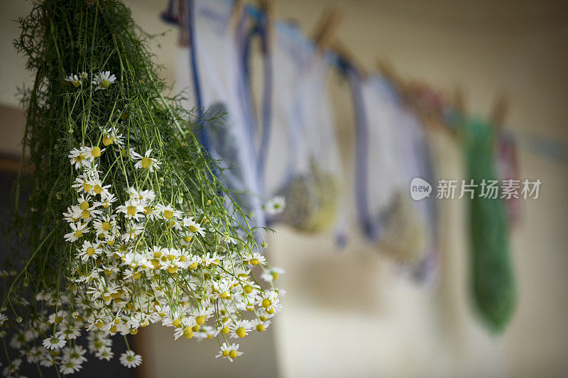 干燥洋甘菊和其他草药