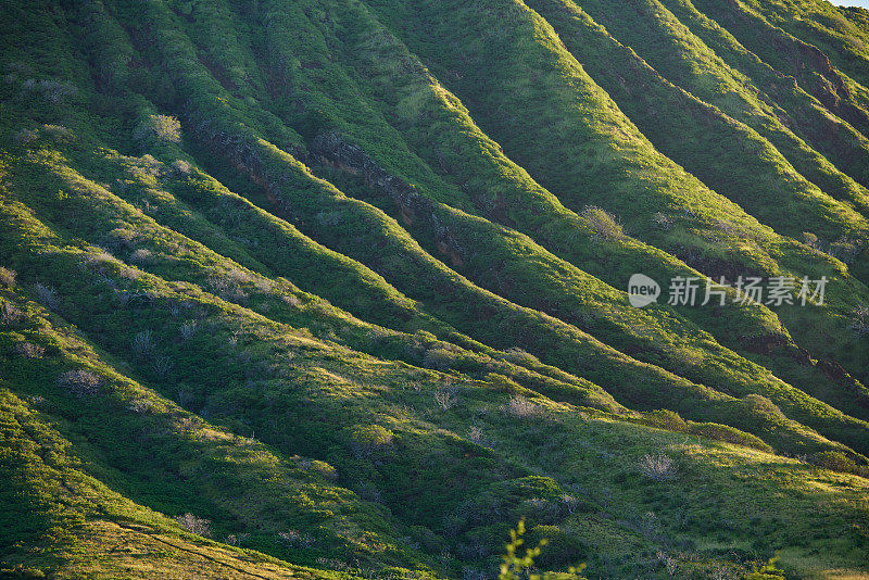 在日落，夏威夷，美国山脉的特写