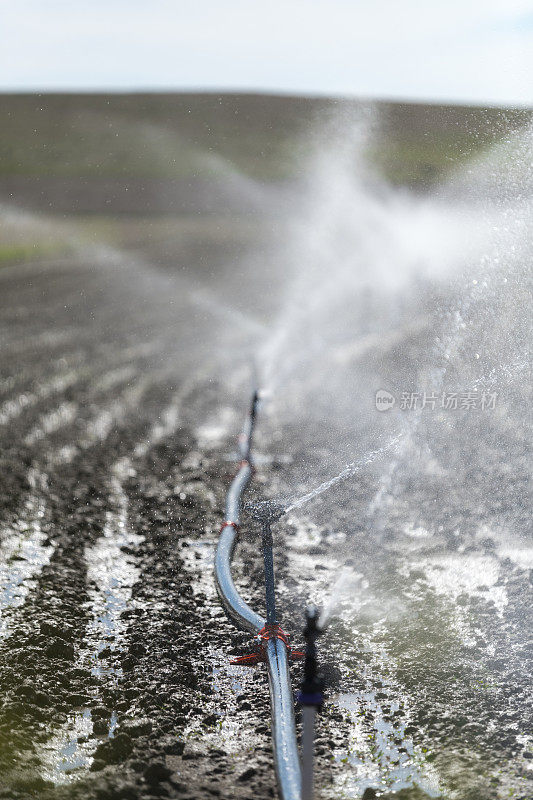 灌溉喷灌机在肥沃的农田上灌溉作物