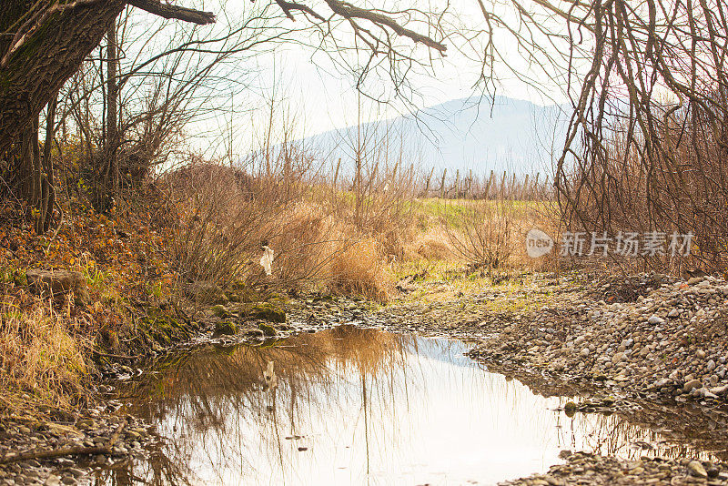 小河中的小池塘