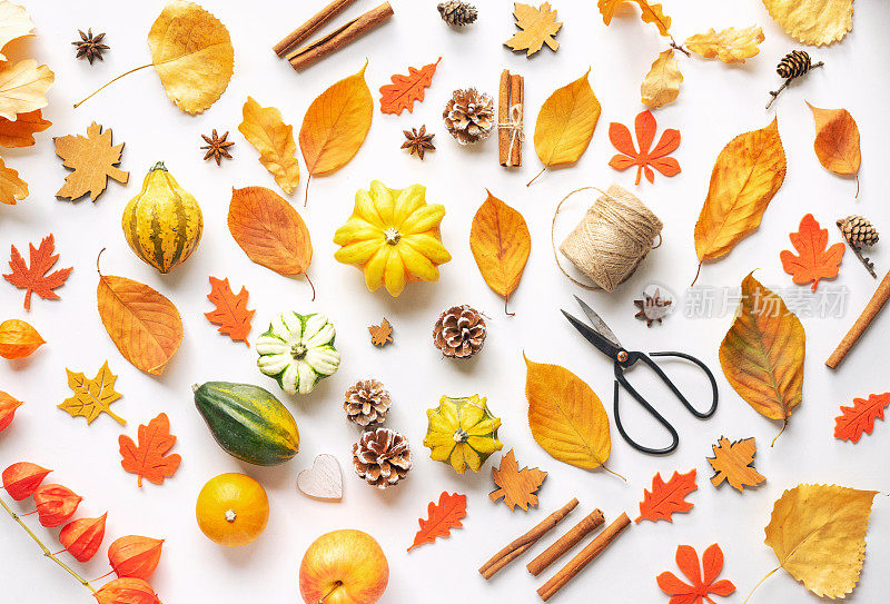 秋平铺构成。图案由干叶子，南瓜，松果，香料在白色的背景。
