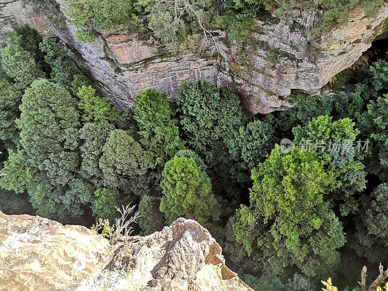 峡谷，蓝山国家公园，新南威尔士州，澳大利亚