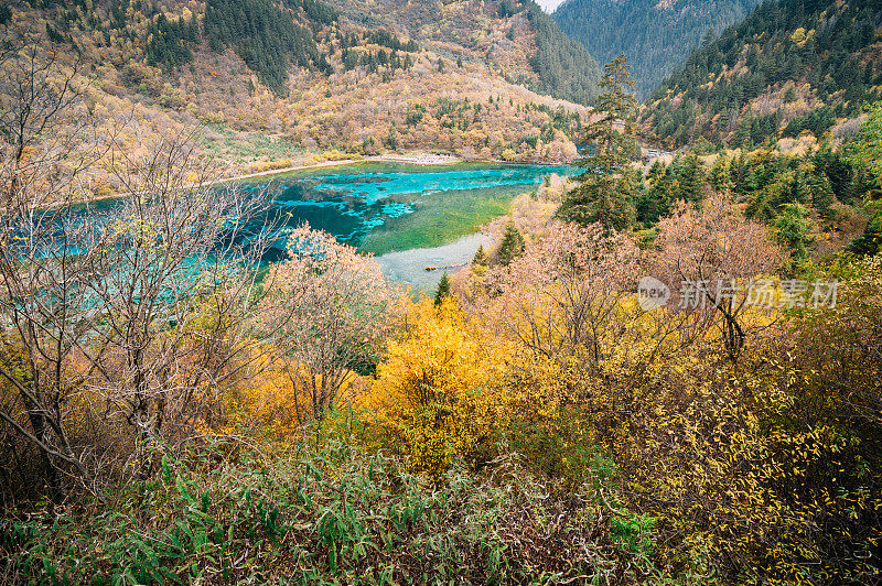 风景优美的木山和五花湖(九寨沟国家公园)，中国