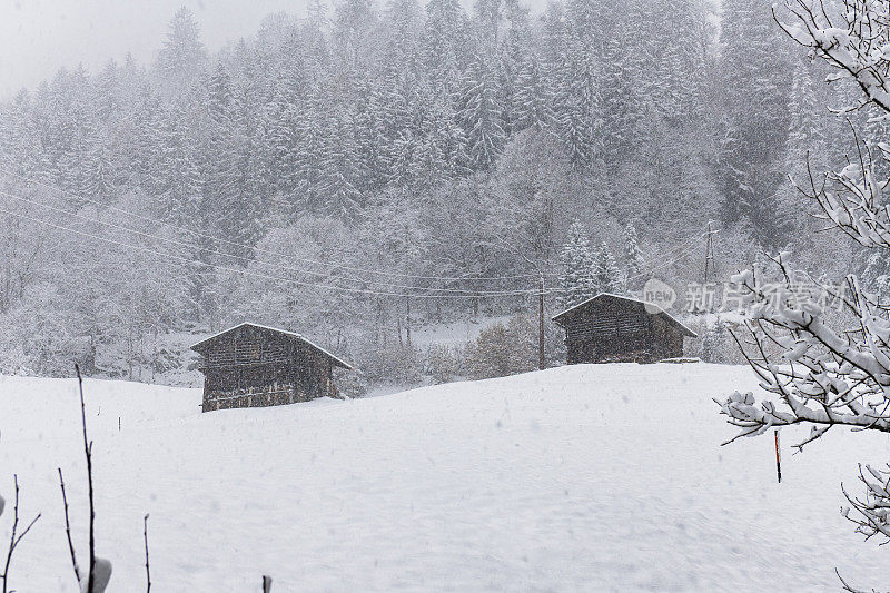 奥地利西勒塔尔冬天的小木屋