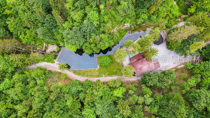森林中央的小屋，有一个天然水池――从空中拍摄