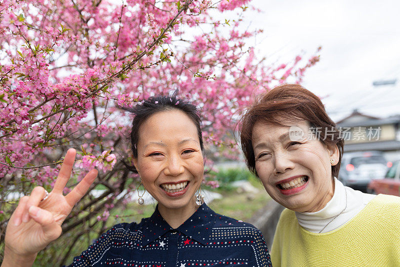 母亲和女儿在观赏樱花