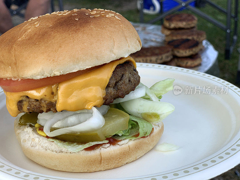 新鲜烤营火芝士汉堡享受户外野餐，佩恩湖，南阿尔伯塔