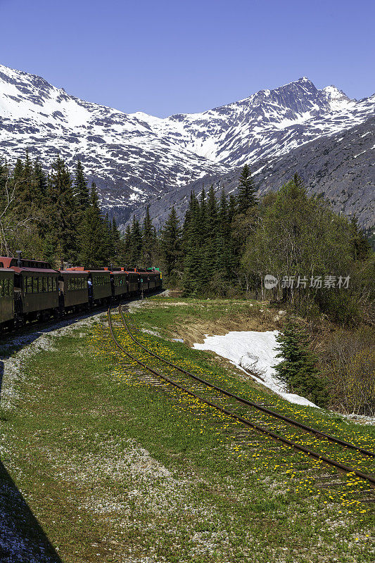 我们真的很喜欢白口山旅游列车上的岩石景观、高大的松树和雪峰景色。