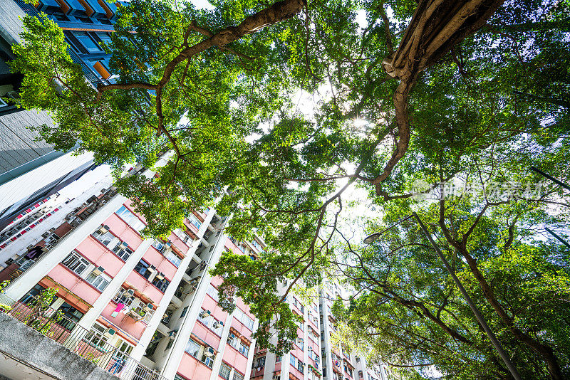 香港拥挤的房屋