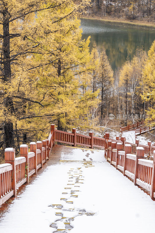 湖边树林里的木质楼梯上覆盖着积雪和脚印