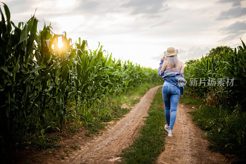 后视图美丽的女孩走在田野