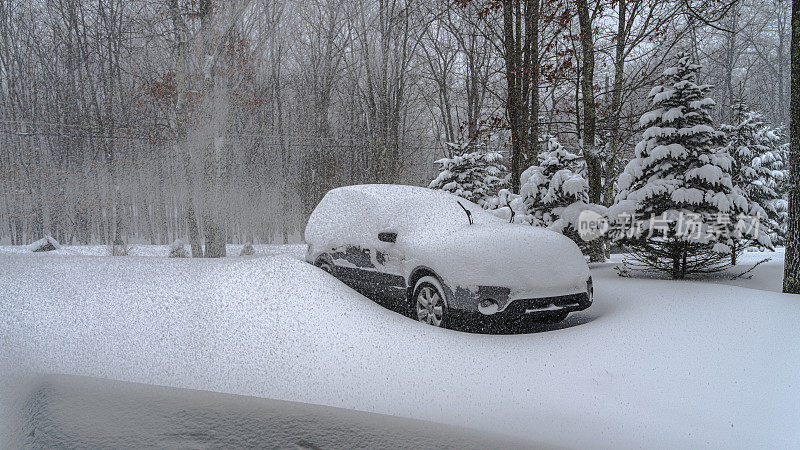 一辆车停在森林里，在冬季暴风雪中被困住了。