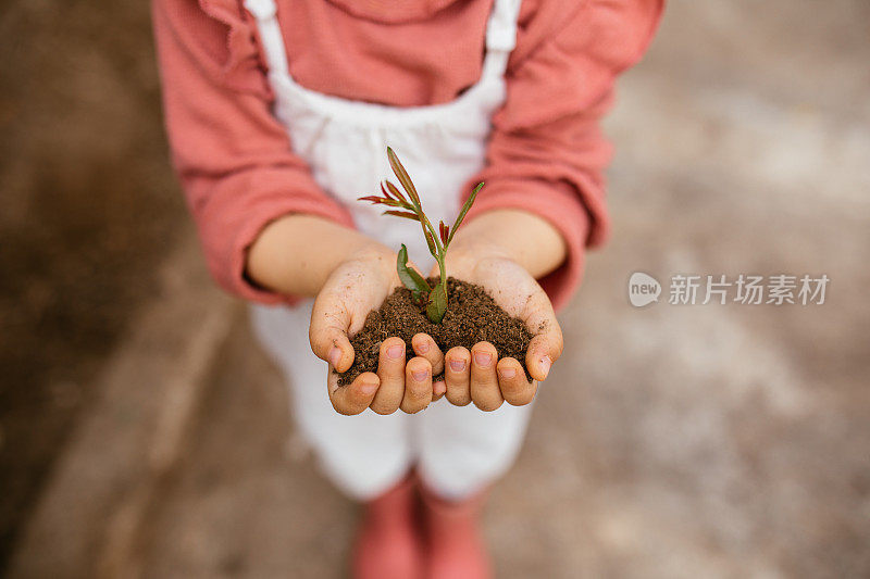 孩子们照料着幼苗。手扶小树