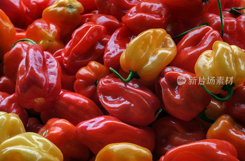 纽约长岛农贸市场上出售的哈瓦那辣椒