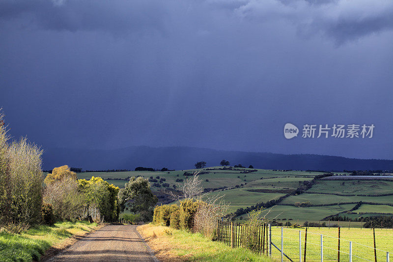 塔斯马尼亚农田景观风景雨乡路