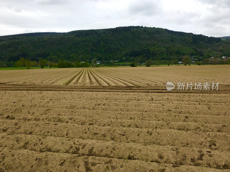 苏格兰高地