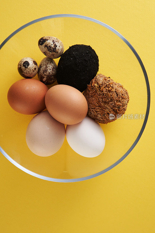 各种鸡蛋，从羽毛，鸡鸭咸蛋和皮蛋