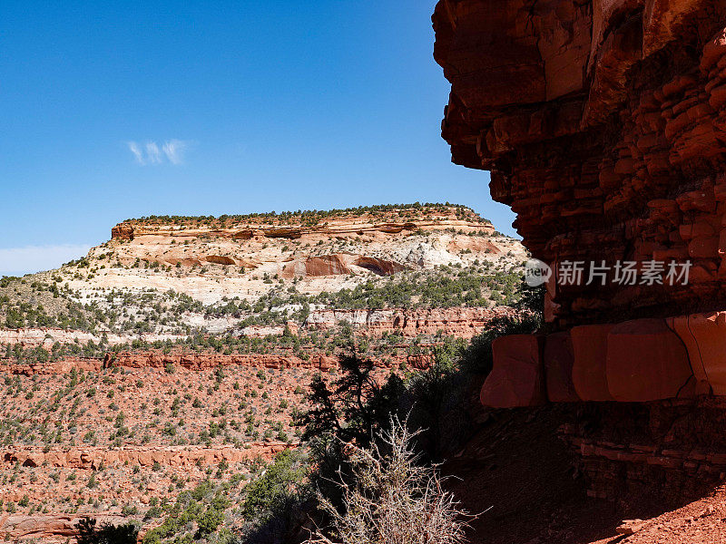 红砂岩塔，远处有带状的沙漠峭壁。