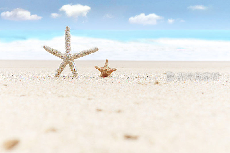海星在热带沙质的夏季海洋沙滩上，以美丽的蓝天为背景，在海滩岛上放松户外度假。