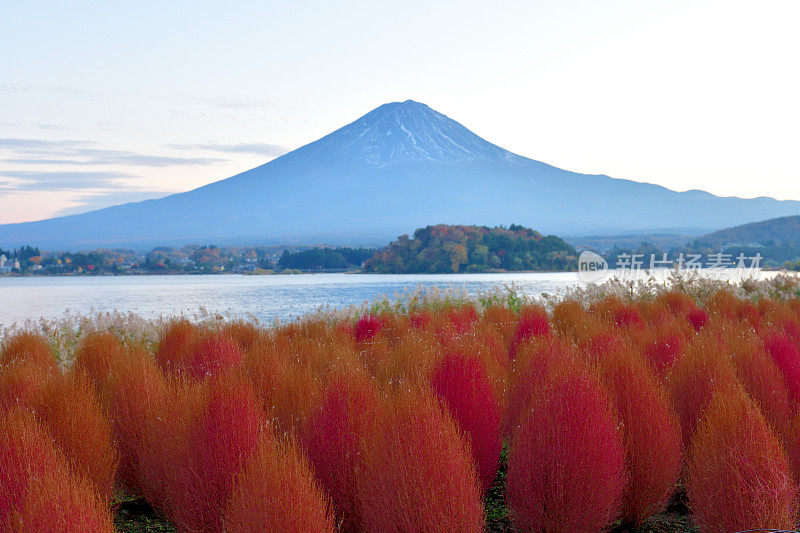 山梨县川口湖畔的富士山和五彩缤纷的高山