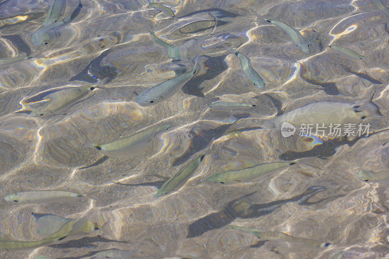 科西嘉岛沿岸拉维奇群岛的岩石景观