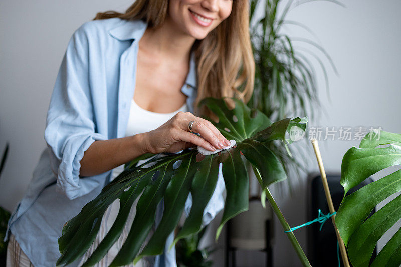 快乐的中年妇女照顾她的室内植物