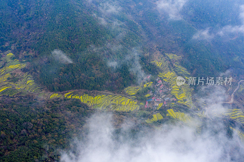 山景，大雾弥漫