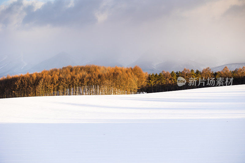 雪山晨景