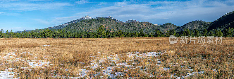 布法罗公园和白雪覆盖的旧金山山峰