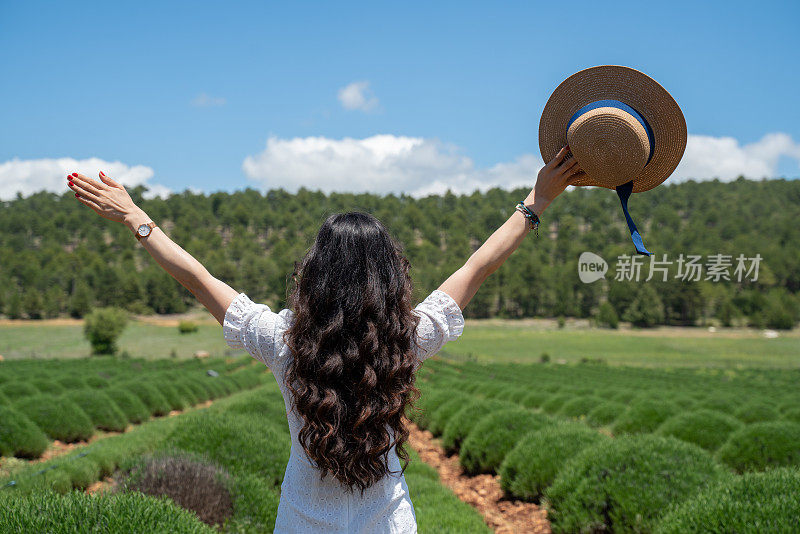 美丽的女人在绿色的薰衣草花丛中张开双臂