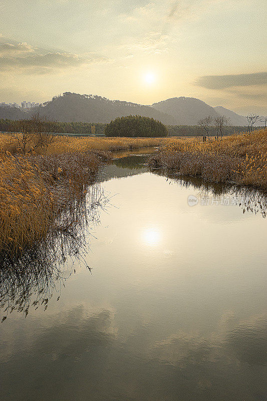 秋天的风景