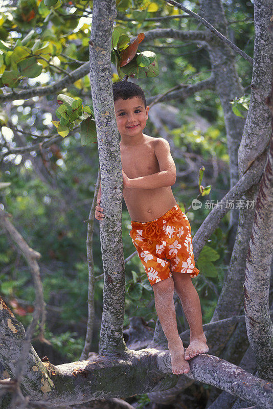 男孩在海滩上爬树