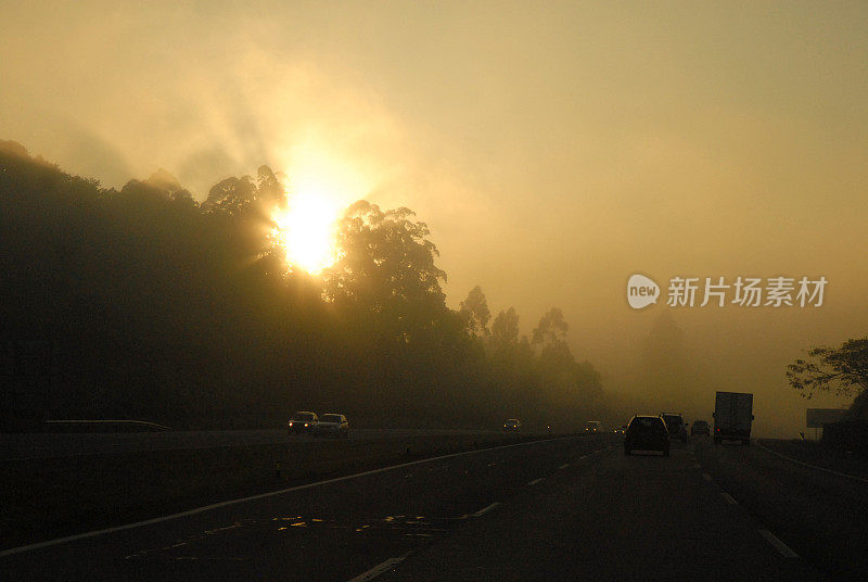 道路附近被烧毁