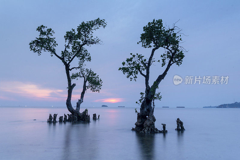 巴东尼瓦纳海滩黄昏全景