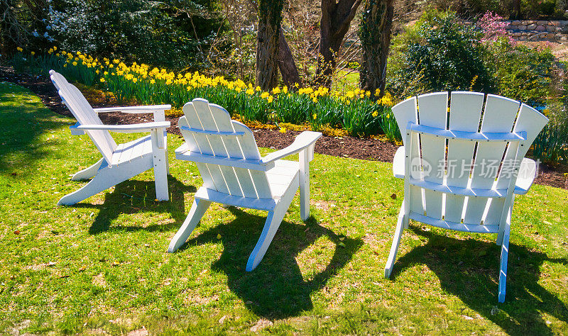 春天花园里的三把椅子