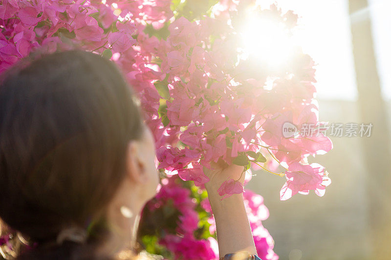 闻到夏天的花