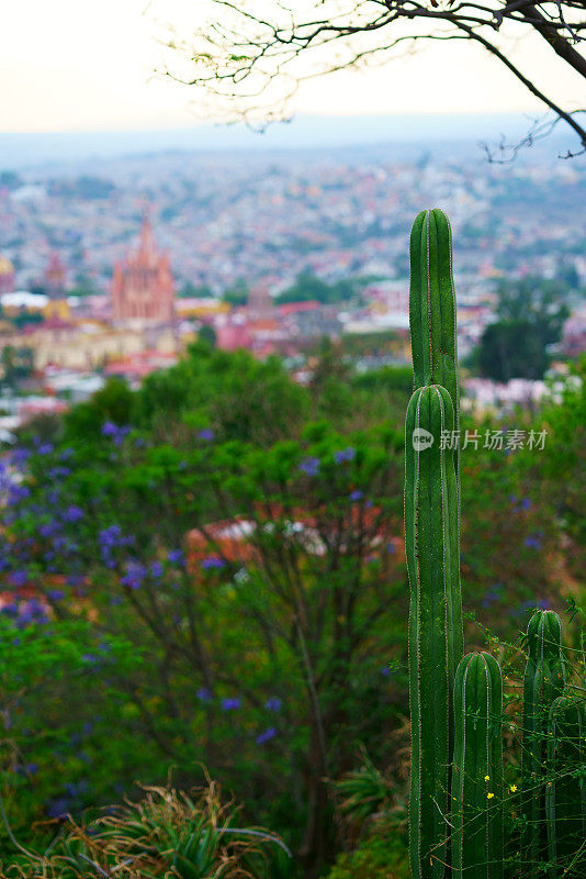 天际线Guanajuato