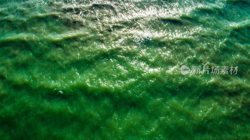 海浪在美丽的早晨的海面上