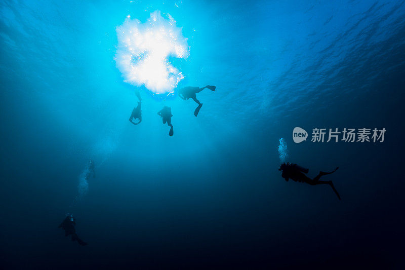 回到水面，六名水肺潜水员自由上升，科莫多岛，印度尼西亚