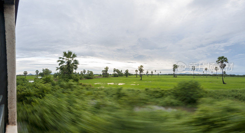 从泰国华欣附近行驶的火车窗口看稻田和棕榈树