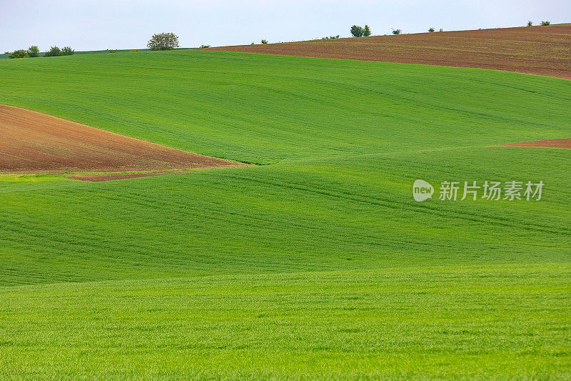 耕种田地