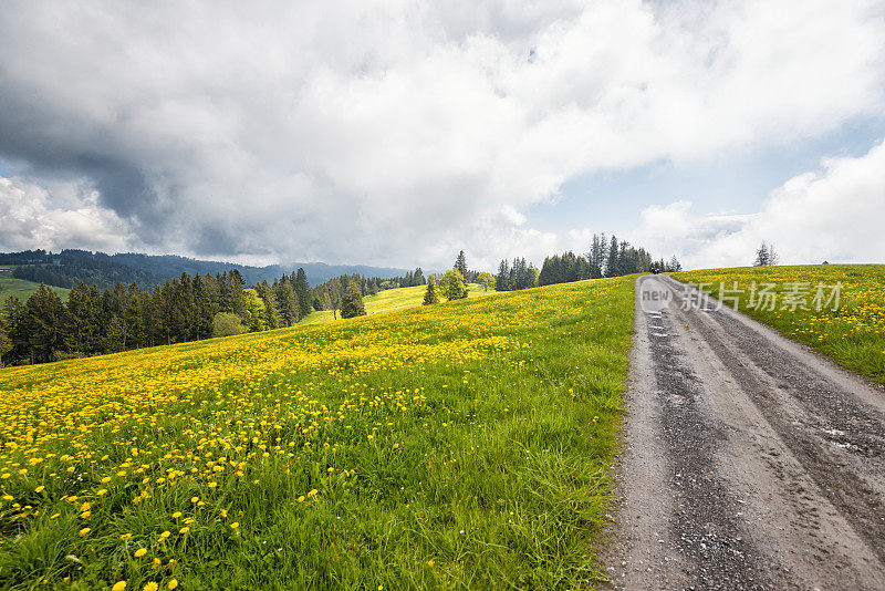 瑞士阿彭策尔兰夏季草甸山的徒步小径
