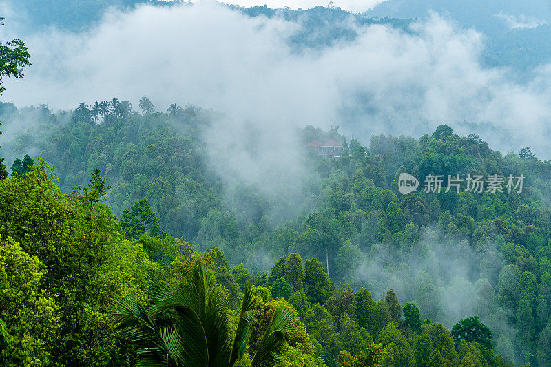 云雾缭绕的山峦覆盖着雨林。