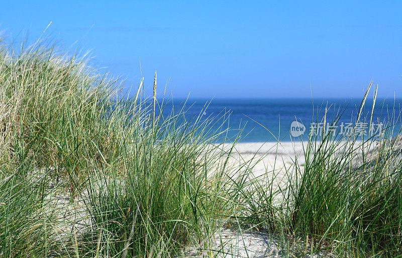 德国赫尔戈兰沙丘岛海岸，阳光明媚，天空晴朗，沙丘上有马兰草
