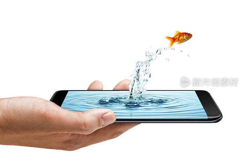 智能手机边缘屏幕-水飞溅和鱼