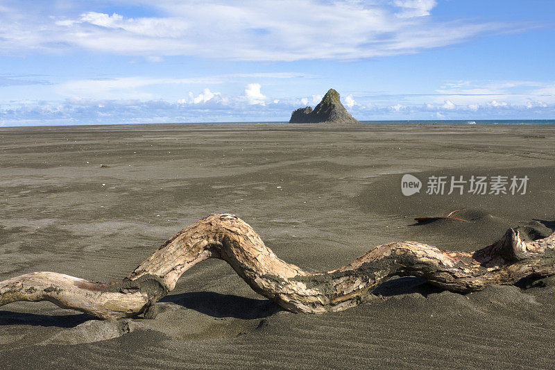 浮木新西兰Karekare海滩