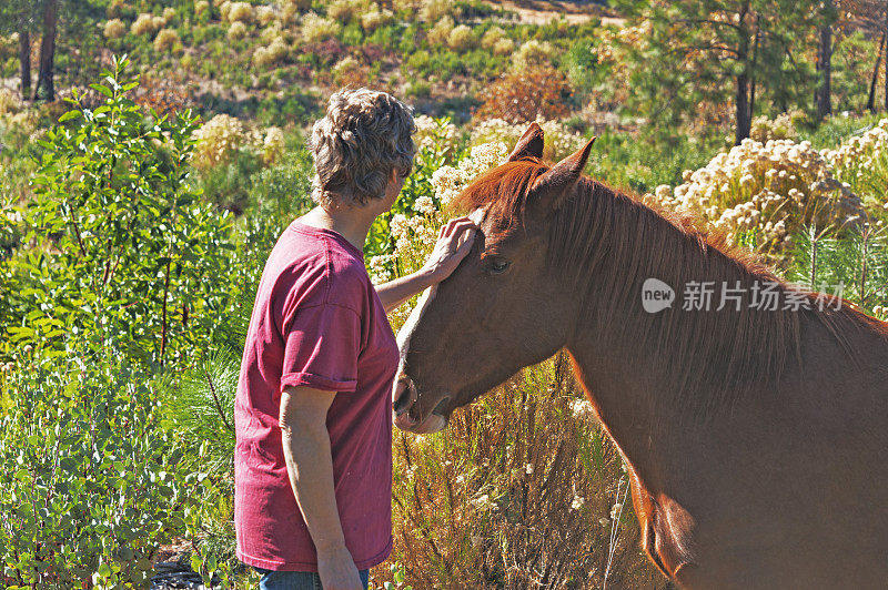 爱越来越关注