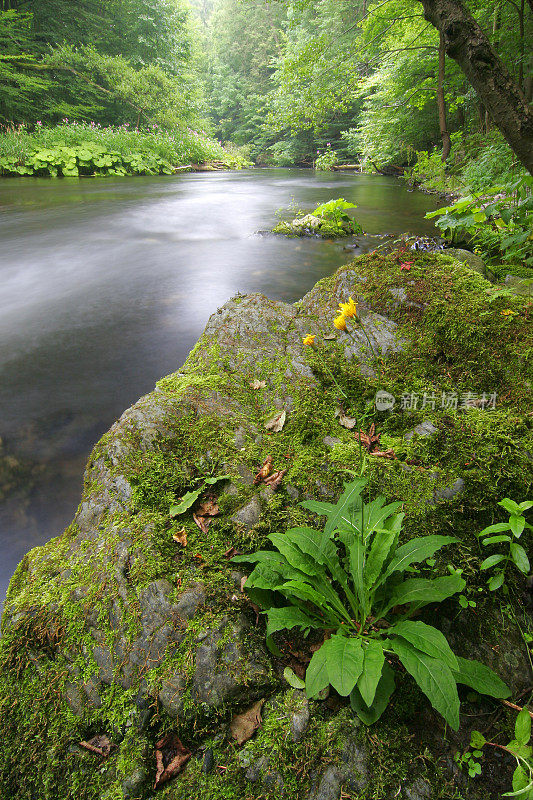 荒野