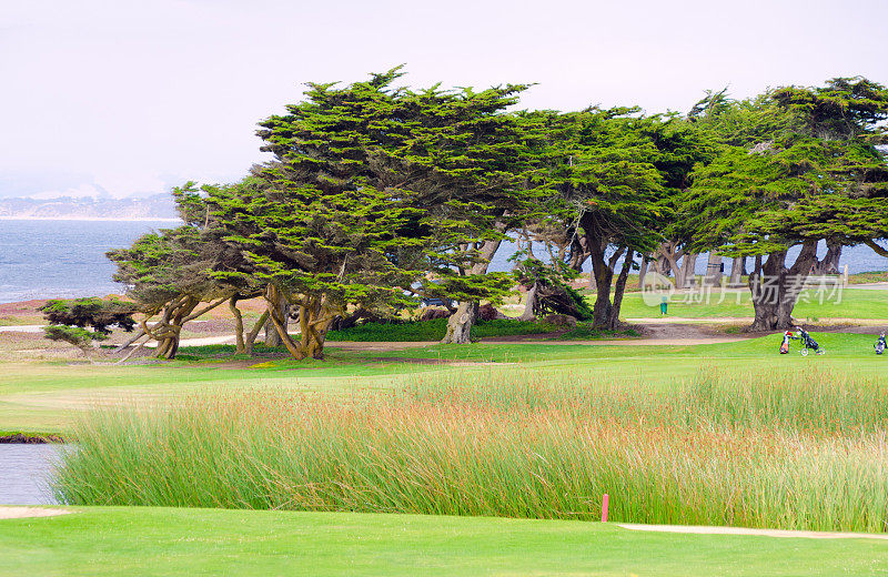 加州太平洋格罗夫的高尔夫球场