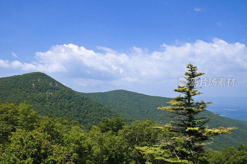 蓝岭山脉